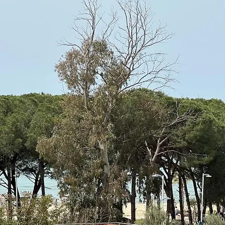 Doris Sea View Apartament